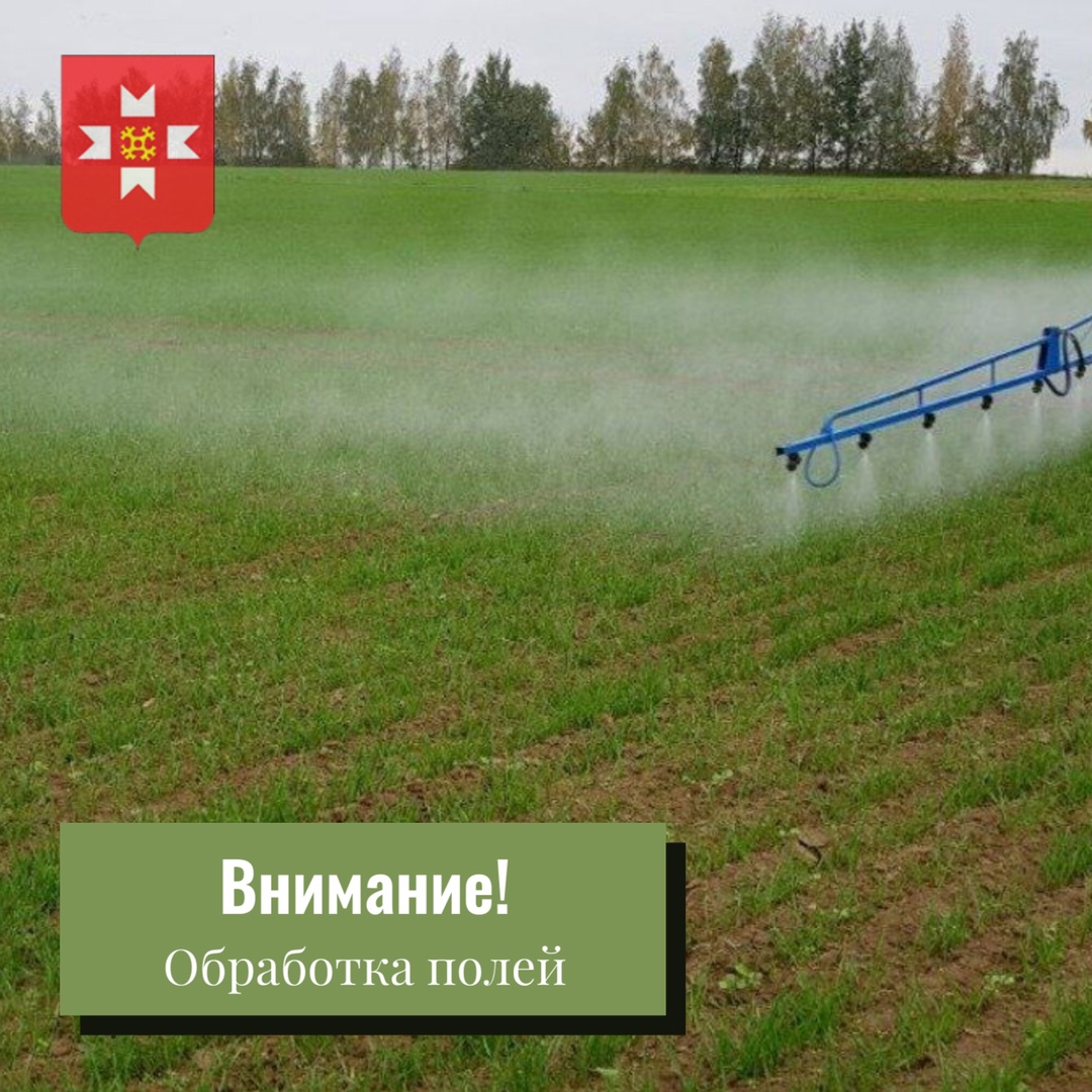 Вниманию пчеловодов!.