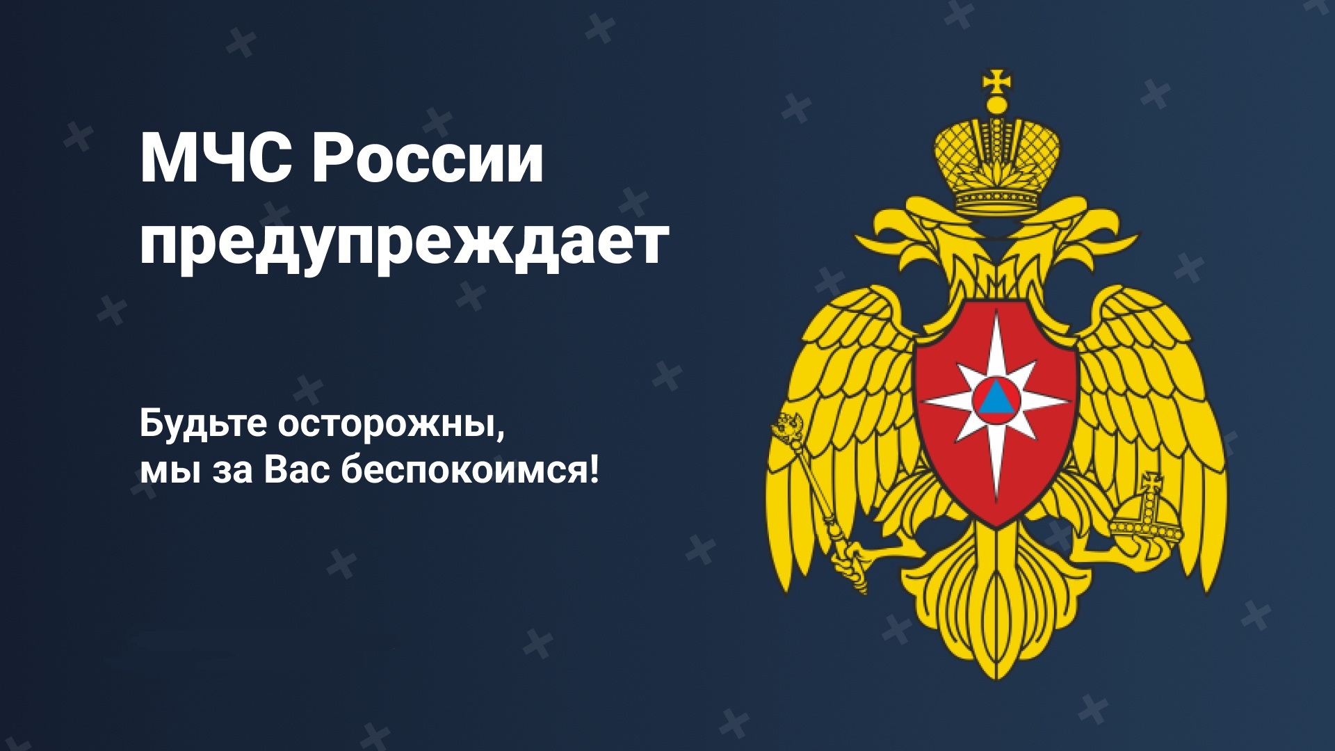 По оперативным данным с 01.01.2025 года по 24.06.2025 года, на территории г. Можги и Можгинского района произошло.