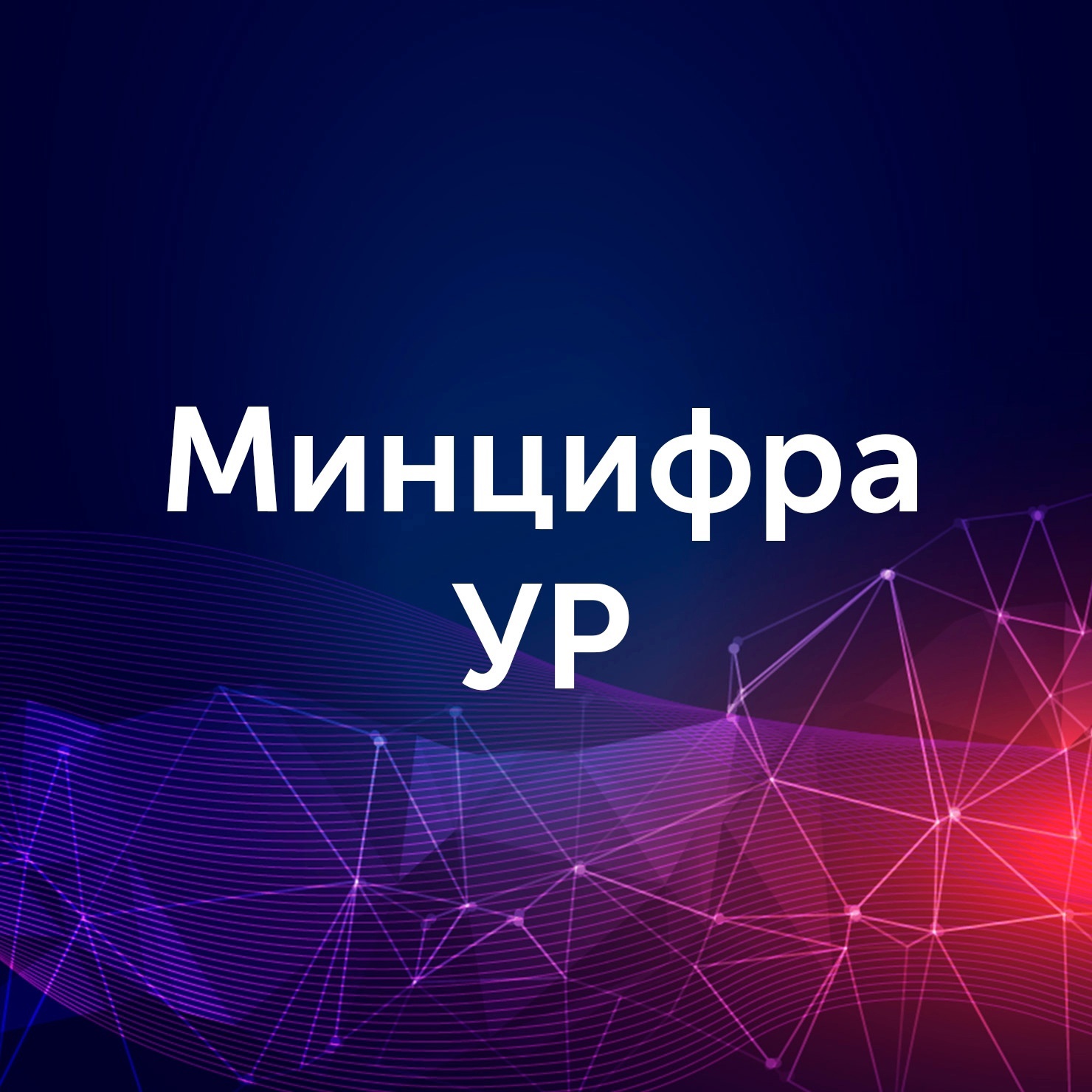 Министерство цифрового развития Удмуртской Республики.