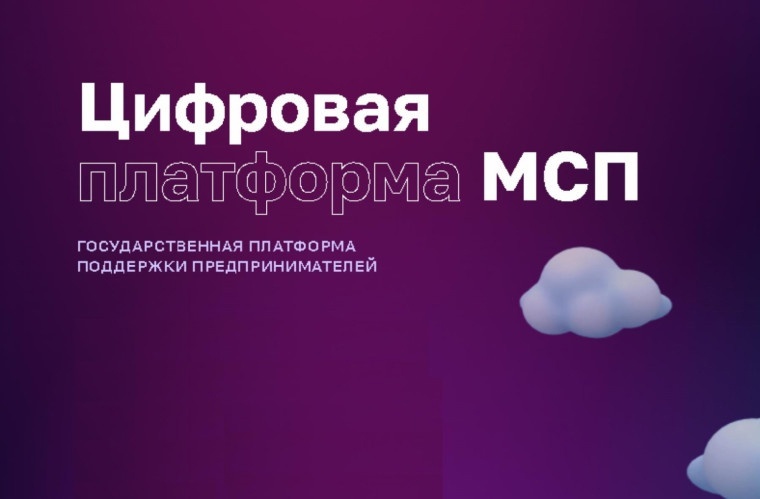 Цифровая платформа МСП.