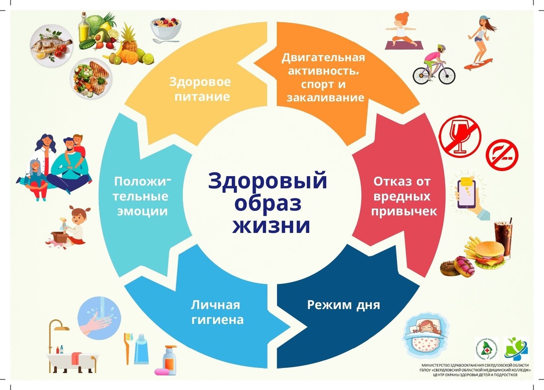 Хотите проверить ваши познания о здоровом образе жизни и спорте?.