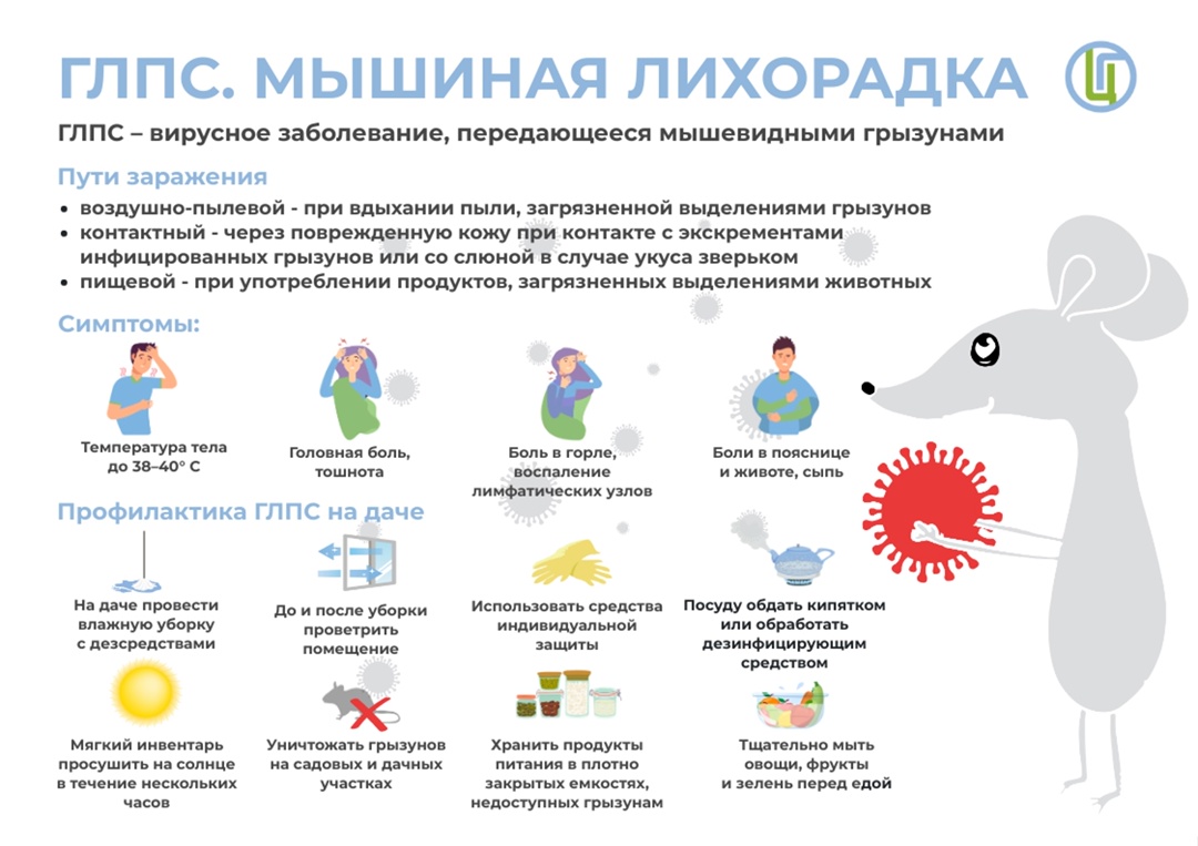Мышиная лихорадка: что нужно знать.