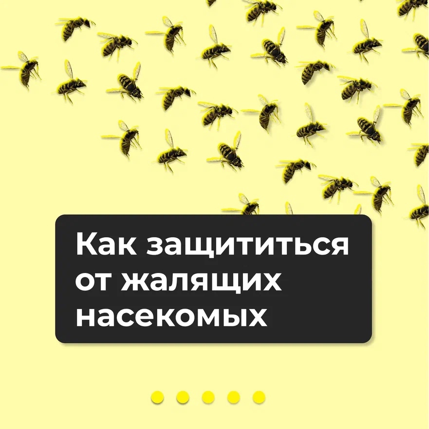 Почему появилось так много ос - обеспокоены жители Удмуртии..