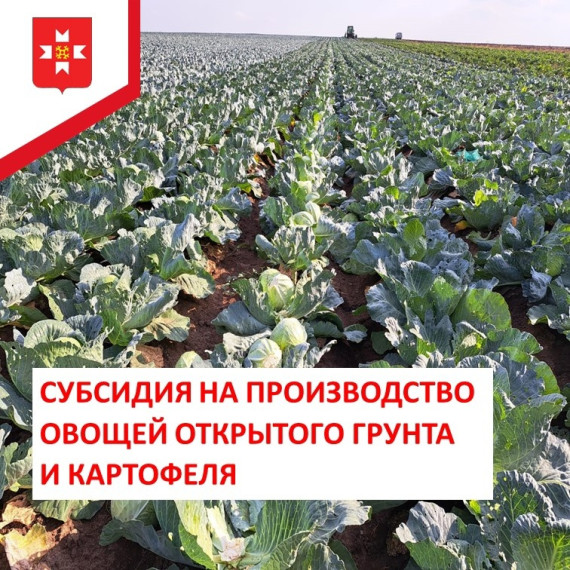 Отличные новости для тех, кто ведёт личное подсобное хозяйство!. Отличные новости для тех, кто ведёт личное подсобное хозяйство!.