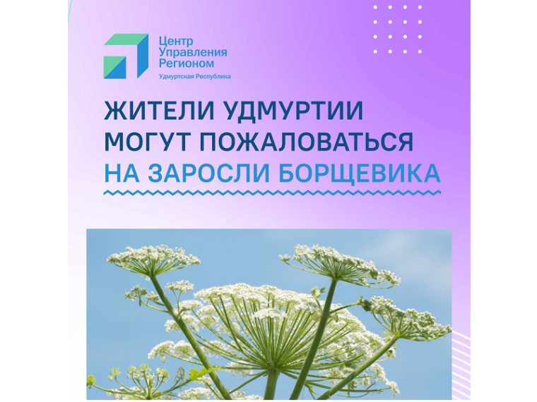В Удмуртии продолжат бороться с борщевиком.. В Удмуртии продолжат бороться с борщевиком..